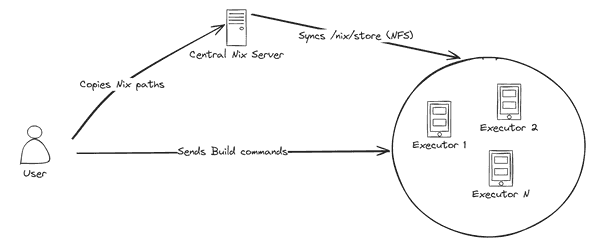 Workflow overview